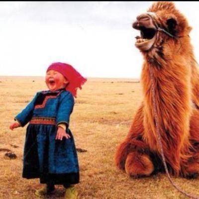 Прикрепленное изображение: 78320480989910865_Amup8SLK.jpg